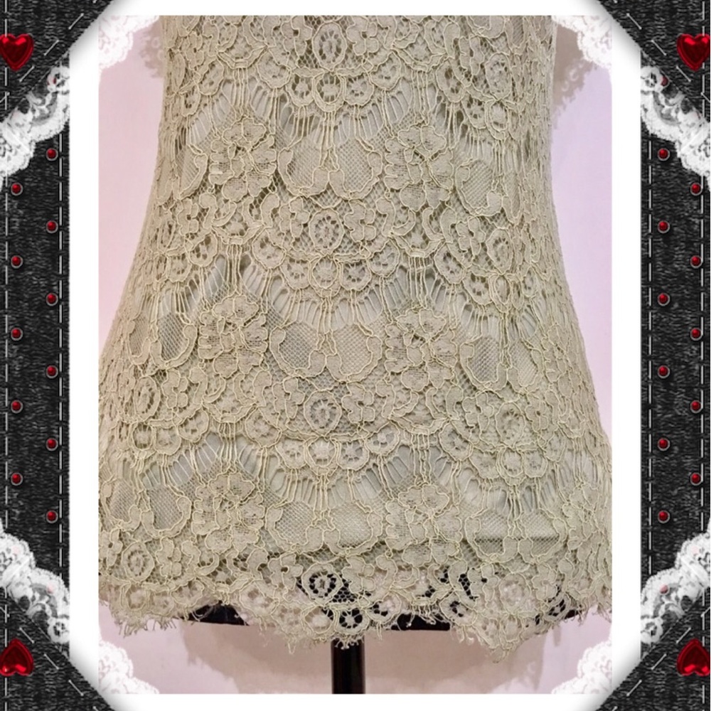 The Limited Lace Overlay Blouse - Picture 6 of 7
